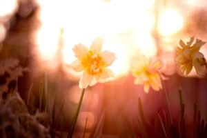 Spring Equinox
